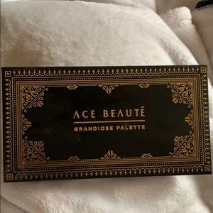 Ace beaute grandiose eyeshadow palette